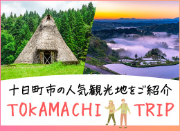 TOKAMCHI TRIP