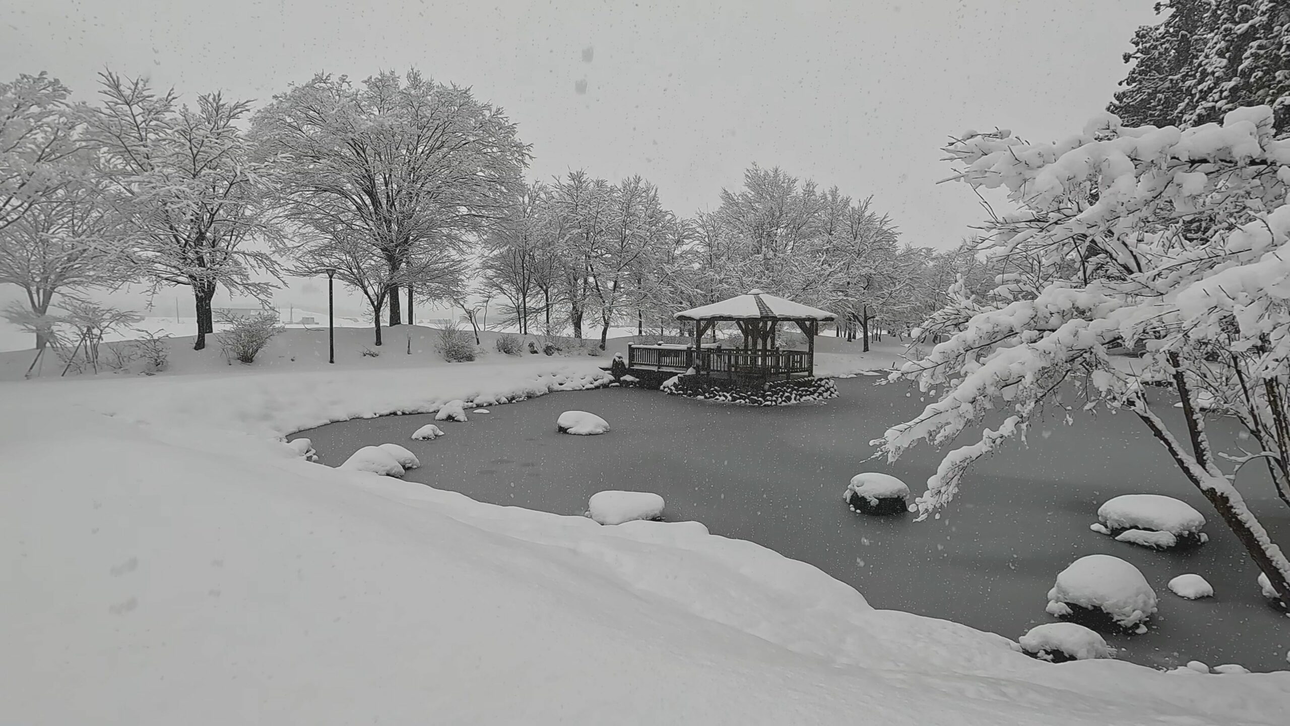 動画】十日町 大井田の郷公園 雪景色 - 十日町タウン情報