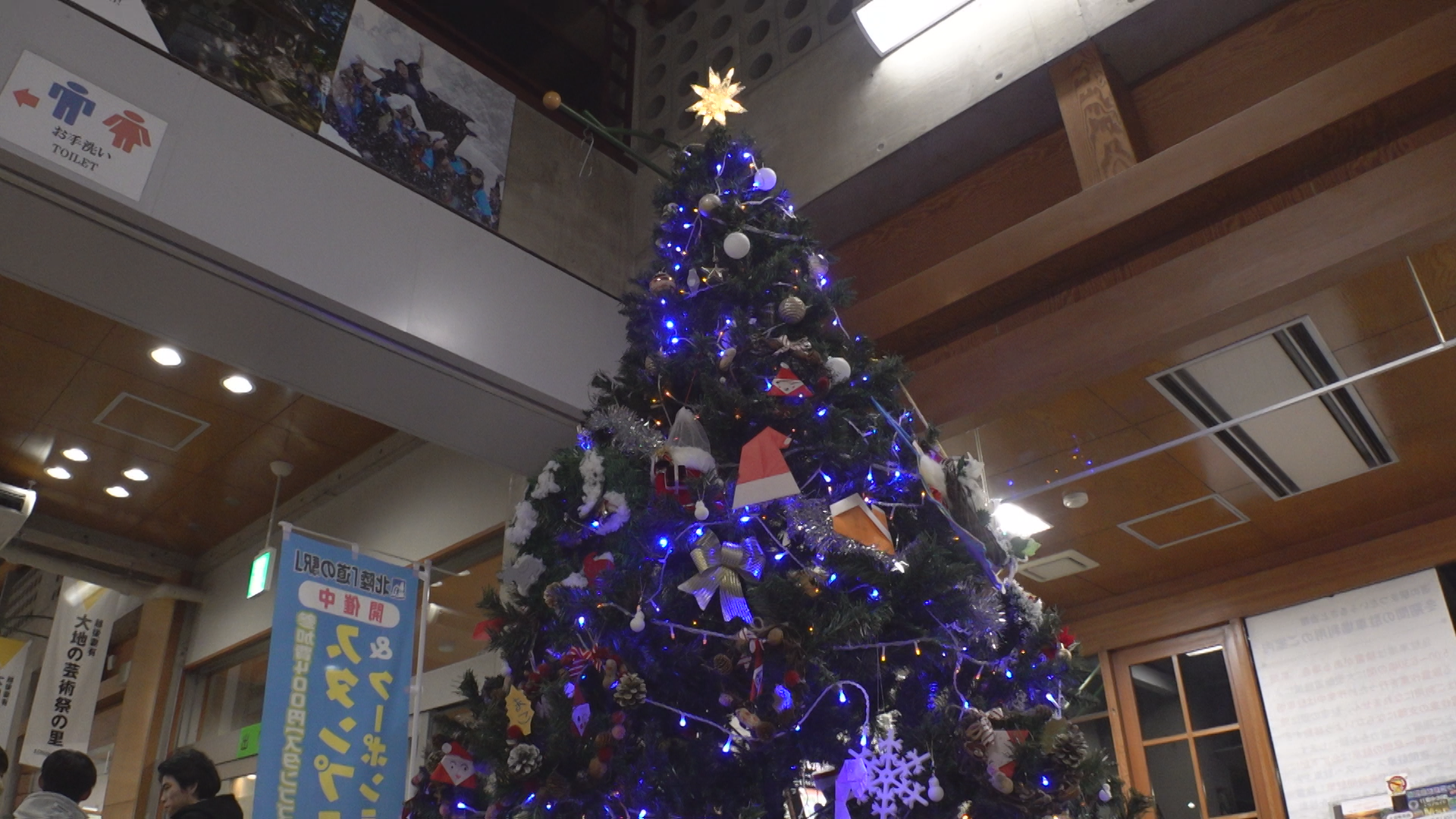輝くイルミネーション!まつだいの道の駅に恒例のクリスマスツリー 輝くイルミネーション!まつだいの道の駅に恒例のクリスマスツリー