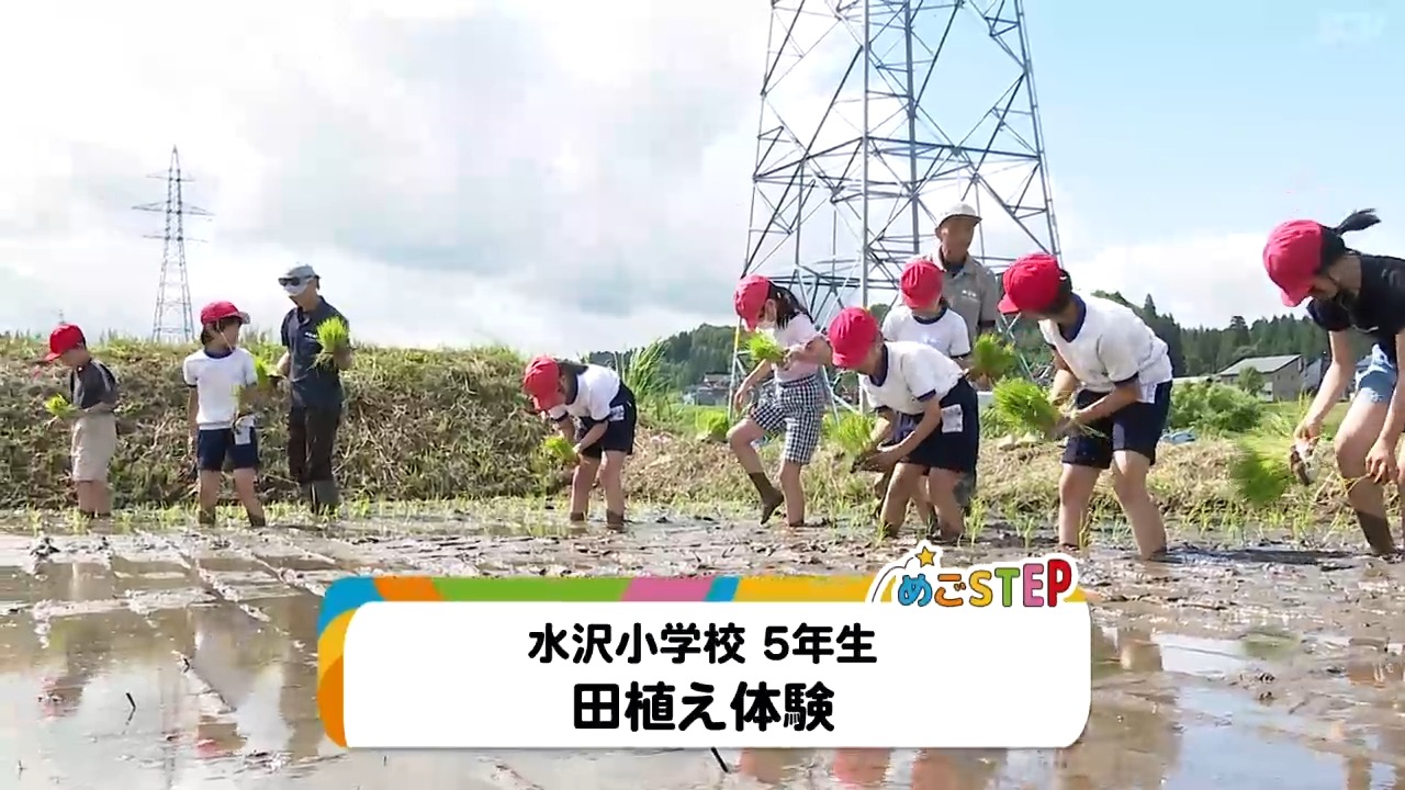 小学校全集 めごSTEP「水沢小学校5年生 田植え体験」放送中！ - 十日町タウン情報